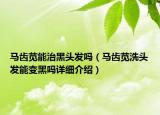 马齿苋能治黑头发吗（马齿苋洗头发能变黑吗详细介绍）