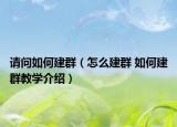 请问如何建群（怎么建群 如何建群教学介绍）