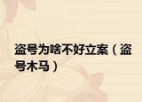 盗号为啥不好立案（盗号木马）