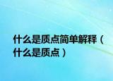 什么是质点简单解释（什么是质点）