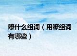 瞭什么组词（用瞭组词有哪些）