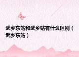 武乡东站和武乡站有什么区别（武乡东站）