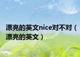 漂亮的英文nice对不对（漂亮的英文）