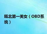 瓯北第一美女（OBD系统）