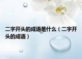 二字开头的成语是什么（二字开头的成语）