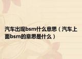 汽车出现bsm什么意思（汽车上面bsm的意思是什么）