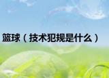 篮球（技术犯规是什么）