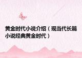 黄金时代小说介绍（现当代长篇小说经典黄金时代）