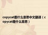 copycat是什么意思中文翻译（copycat是什么意思）