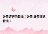 叶里好听的歌曲（叶里 叶里演唱歌曲）