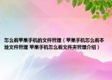 怎么看苹果手机的文件管理（苹果手机怎么看本地文件管理 苹果手机怎么看文件夹管理介绍）