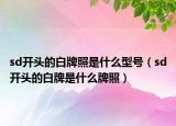 sd开头的白牌照是什么型号（sd开头的白牌是什么牌照）