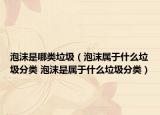 泡沫是哪类垃圾（泡沫属于什么垃圾分类 泡沫是属于什么垃圾分类）