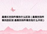 桑蚕长丝和柞蚕丝什么区别（桑蚕丝和柞蚕丝的区别 桑蚕丝和柞蚕丝有什么不同）