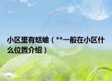 小区里有蛞蝓（**一般在小区什么位置介绍）