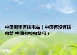 中国哪里有核电站（中国有没有核电站 中国有核电站吗）