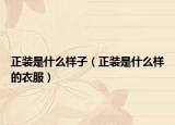 正装是什么样子（正装是什么样的衣服）