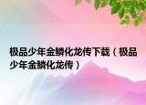 极品少年金鳞化龙传下载（极品少年金鳞化龙传）