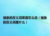 抽象的反义词英语怎么说（抽象的反义词是什么）