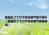 轮胎扎了个钉子但没漏气要不要补（轮胎扎了个钉子但没漏气要拔掉吗）