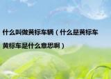 什么叫做黄标车辆（什么是黄标车|黄标车是什么意思啊）