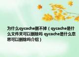 为什么qycache删不掉（qycache是什么文件夹可以删除吗 qycache是什么意思可以删除吗介绍）