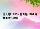 什么是H.265（什么是H264 两者有什么区别）