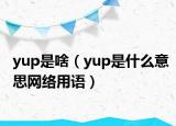 yup是啥（yup是什么意思网络用语）