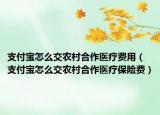 支付宝怎么交农村合作医疗费用（支付宝怎么交农村合作医疗保险费）