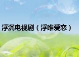 浮沉电视剧（浮唯爱恋）
