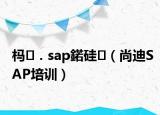 杩．sap鍩硅（尚迪SAP培训）