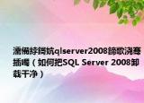 濡備綍鎶妔qlserver2008鍗歌浇骞插噣（如何把SQL Server 2008卸载干净）