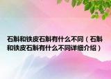 石斛和铁皮石斛有什么不同（石斛和铁皮石斛有什么不同详细介绍）