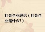 社会企业理论（社会企业是什么?）