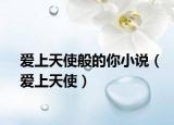 爱上天使般的你小说（爱上天使）