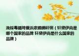 浼婇粵鍎垮睘浜庡搧鐗屽悧（轩黛伊尚是哪个国家的品牌 轩黛伊尚是什么国家的品牌）