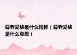 尊老爱幼是什么精神（尊老爱幼是什么意思）