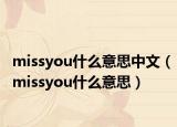 missyou什么意思中文（missyou什么意思）