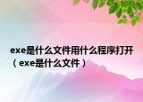 exe是什么文件用什么程序打开（exe是什么文件）