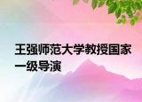 王强师范大学教授国家一级导演