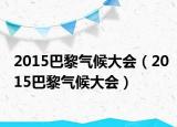 2015巴黎气候大会（2015巴黎气候大会）