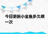 今日更新小金鱼多久喂一次