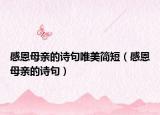 感恩母亲的诗句唯美简短（感恩母亲的诗句）