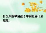 什么叫纲举目张（举纲张目什么意思）