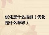 优化是什么技能（优化是什么意思）