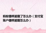 蚂蚁借呗逾期了怎么办（支付宝账户借呗逾期怎么办）
