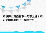 不识庐山真面目下一句怎么说（不识庐山真面目下一句是什么）