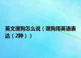 英文遛狗怎么说（遛狗用英语表达（2种））