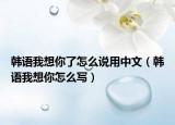 韩语我想你了怎么说用中文（韩语我想你怎么写）