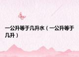一公升等于几升水（一公升等于几升）